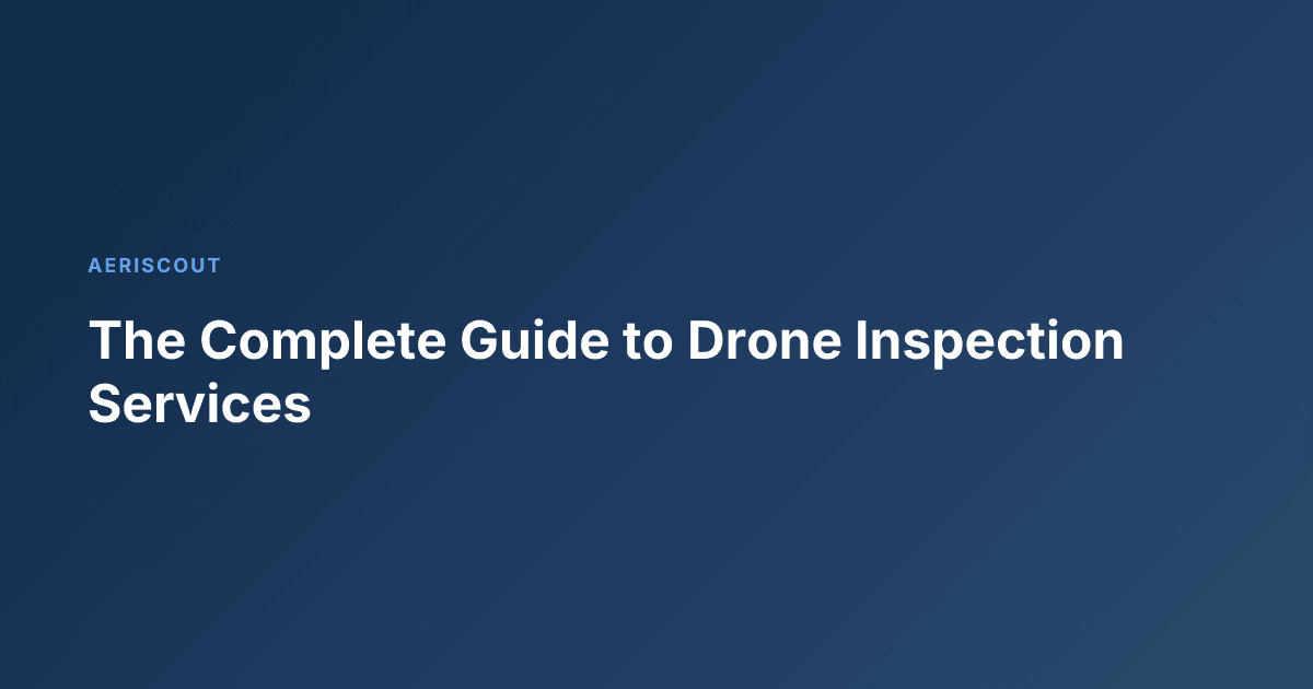 The Complete Guide to Drone Inspection Services