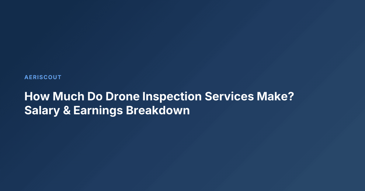 How Much Do Drone Inspection Services Make? Salary & Earnings Breakdown